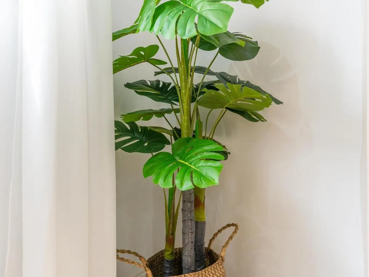 Gorgeous Renovated Apartment 2Br Ac Malaga